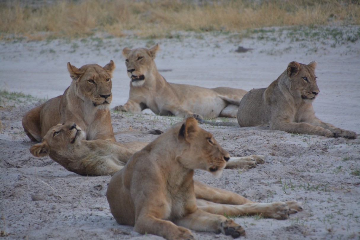 Botswana