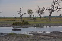Botswana