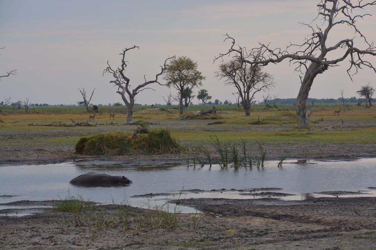 Botswana