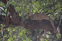 Botswana