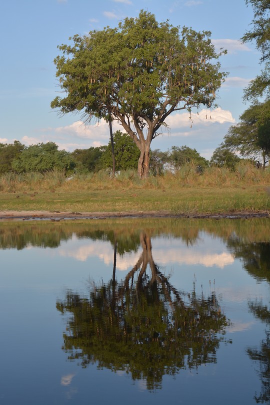 Botswana