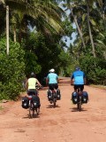 Fietsen onder wuivende palmbomen