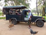 Op safari