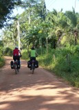 Langs de jungle