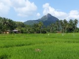 Fraaie landschappen