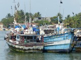 Schepen in het Dutch Canal in Negombo
