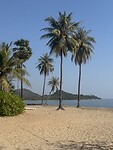 Bounty beach