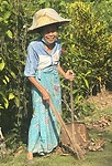 Er wordt wat afgeveegd in Thailand