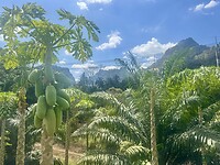 Prachtige natuur