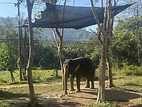 Olifantenpark