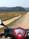 Scooter view