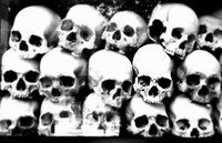 Killing fields