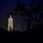 Bai dinh