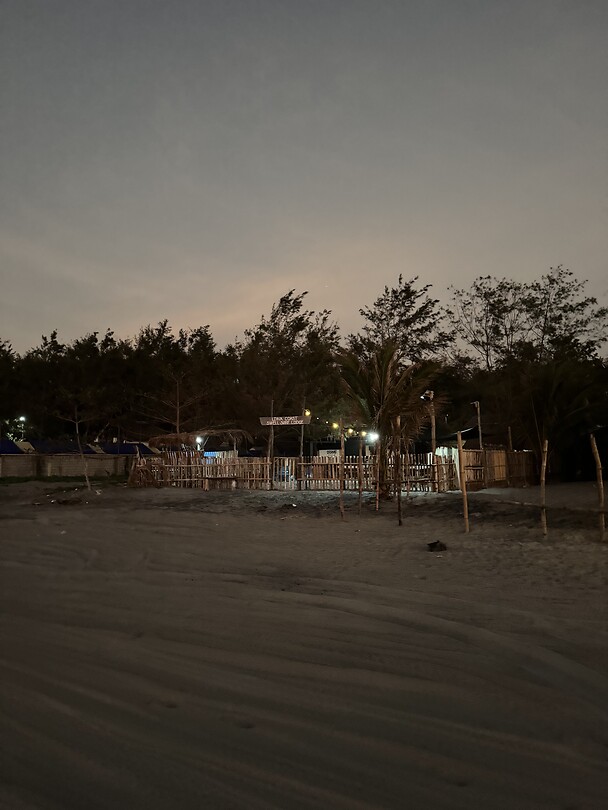 Swell surf lodge by night