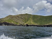 IMG_4463