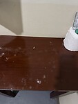 IMG_4924