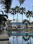 IMG_4950