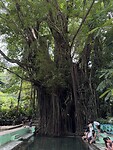 IMG_5021