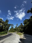 IMG_5516