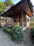 IMG_5558