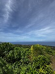 IMG_5613