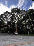 IMG_5645