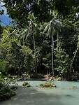 IMG_5281