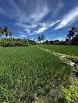 IMG_5339