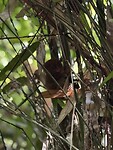 IMG_5877