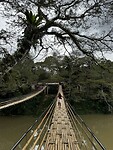 IMG_6071