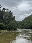 IMG_6142