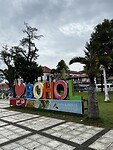 IMG_6231