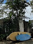 IMG_6274