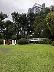 IMG_6451