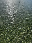IMG_6693