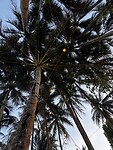 IMG_6739