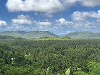 IMG_6799