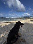 IMG_6831