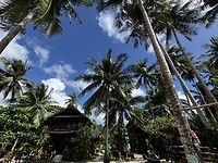 IMG_6876
