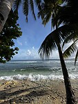IMG_6891