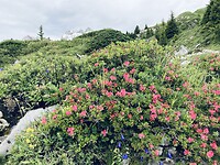 IMG_2801