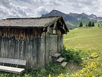 IMG_2854