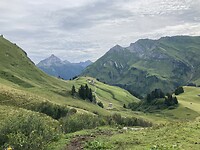 IMG_2870