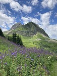 IMG_2894