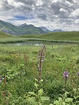 IMG_2891