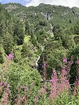 IMG_2919