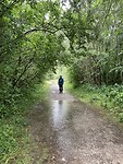 IMG_3068