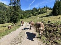 IMG_3171