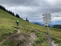 IMG_3192
