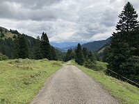 IMG_3206